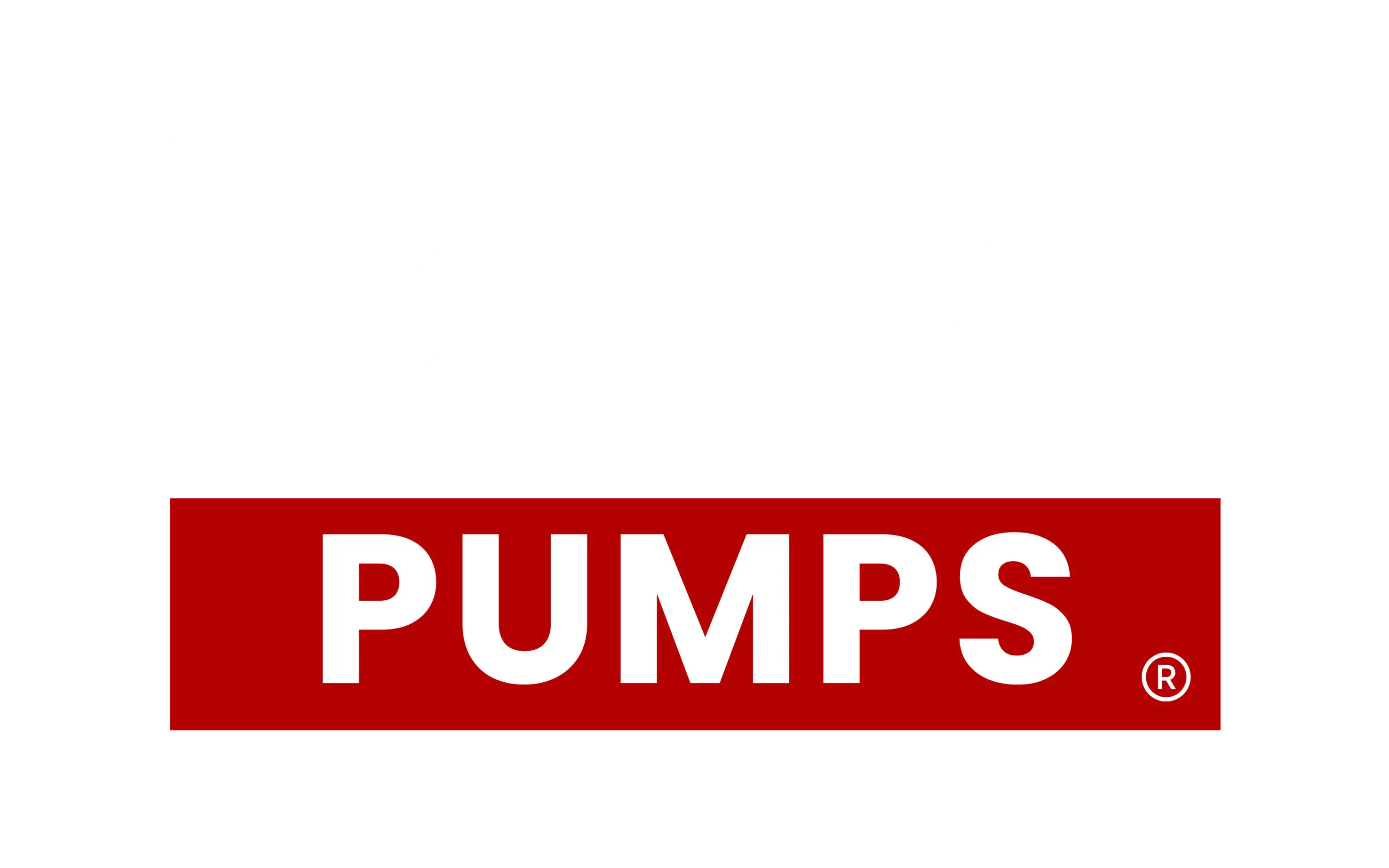 BEIM PUMPS Logo